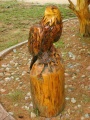 Eagle Perched